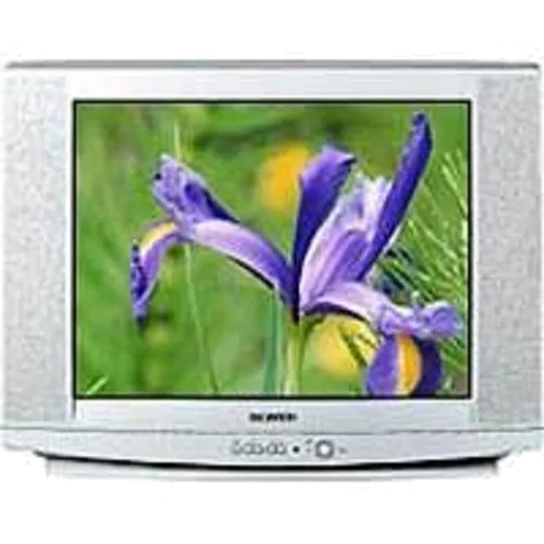 Ремонт CS-29U2 WTR